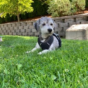 Meet your Posher, Teaguen